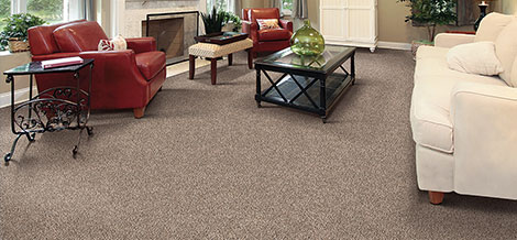 home fresh carpet incomparable